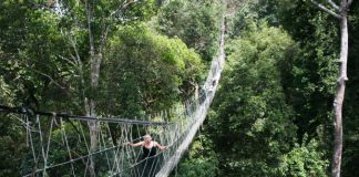 Physiotherapist Sandra Fiedler (right) helping Teo Kok Siang with some light workout session at Stadium Juara on Friday.