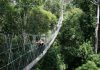 Jungle excursion to lift shuttler’s morale (pic) The national badminton players will attend a motivation camp in Taman Negara, Pahang from March 12-15.