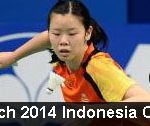 2014 Japan Open