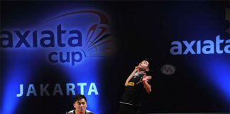 Tan Boon Heong-Tan Wee Kiong seal the winning point for the Malaysian camp