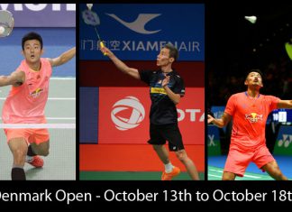 Chen Long, Lee Chong Wei, and Lin Dan are currently the 3 best men's singles players in the world.